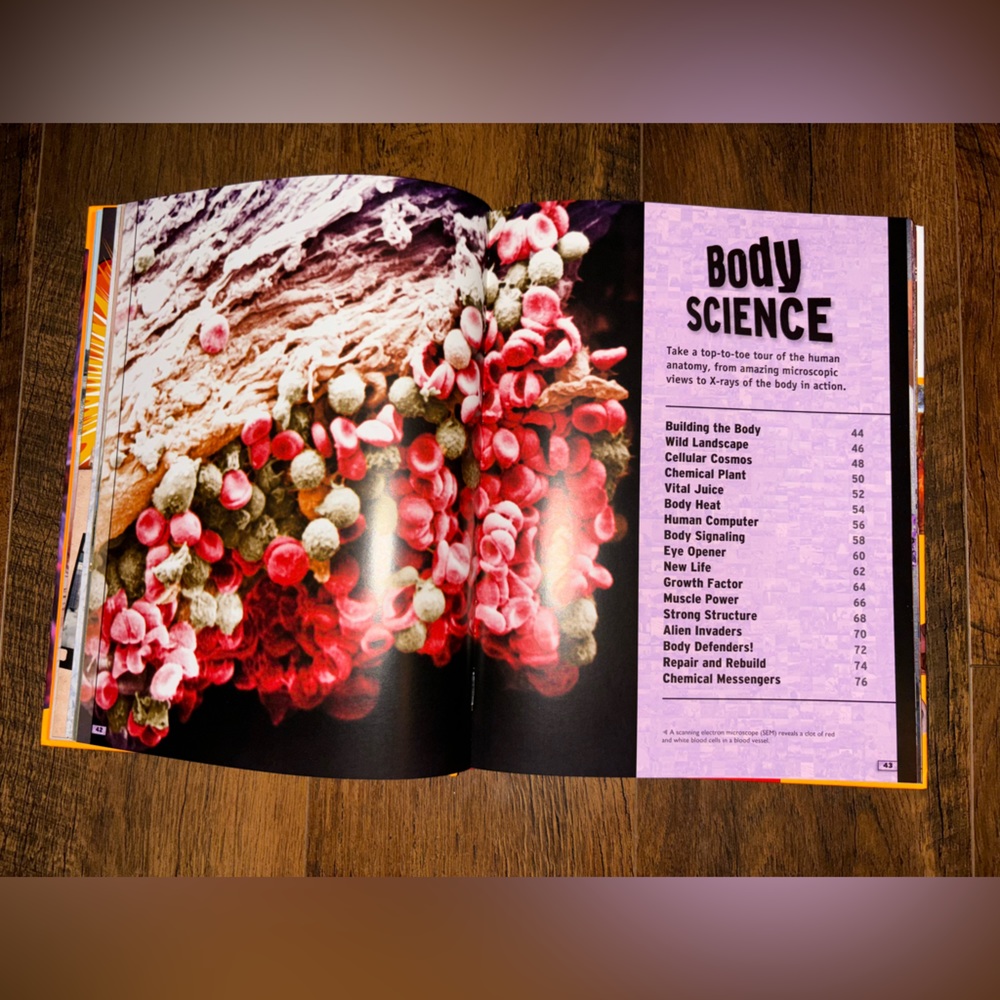 The Science Book - Picture 8 of 13